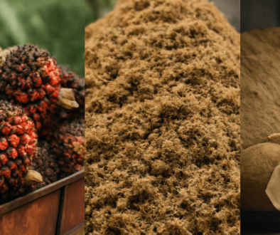 From Plantation to Feed Mill_ The Journey of Palm Kernel Expeller